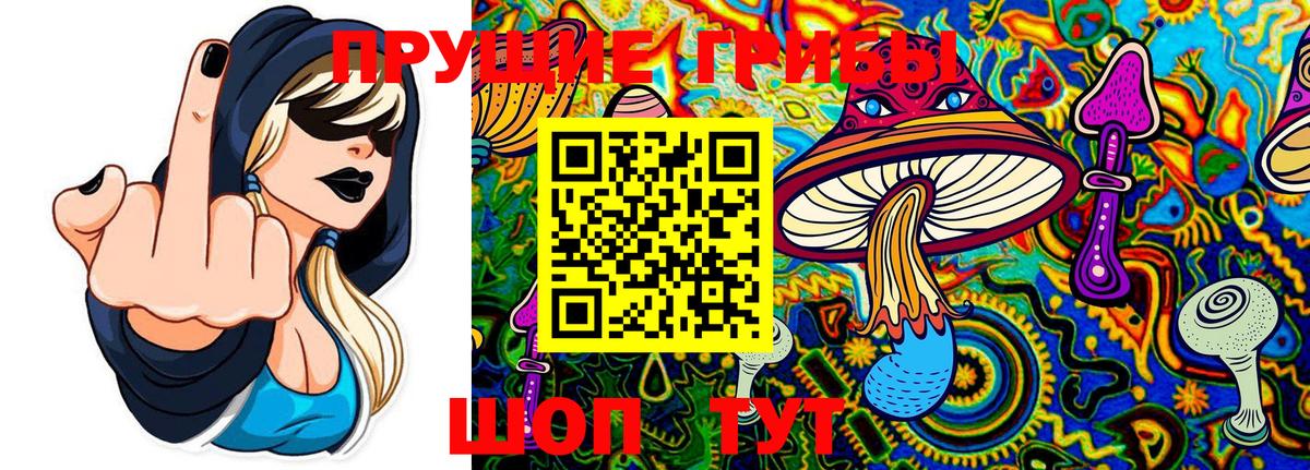 Норильск  Галлюциногенные грибы Magic Shrooms  Вход с VPN  закладка  Галлюциногенные грибы ЛСД 