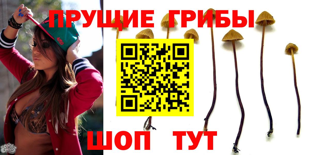 Галлюциногенные грибы GOLDEN TEACHER Норильск
